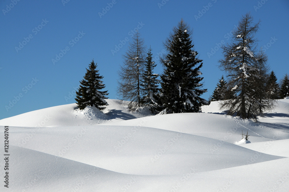 Winter Landscape at San Pellegrino pass in the Italian Dolomites, Val di Fiemme, Trento, Italy Winter Landscape at San Pellegrino pass in the Italian Dolomites, Val di Fiemme, Trento, Italy