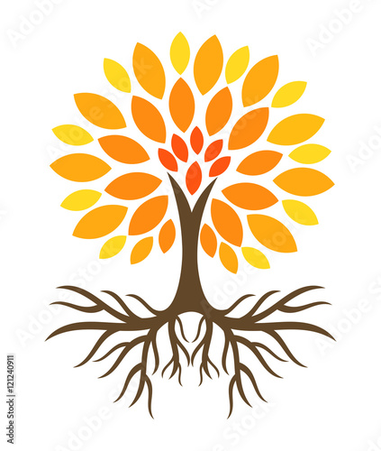 Autumn tree illustration