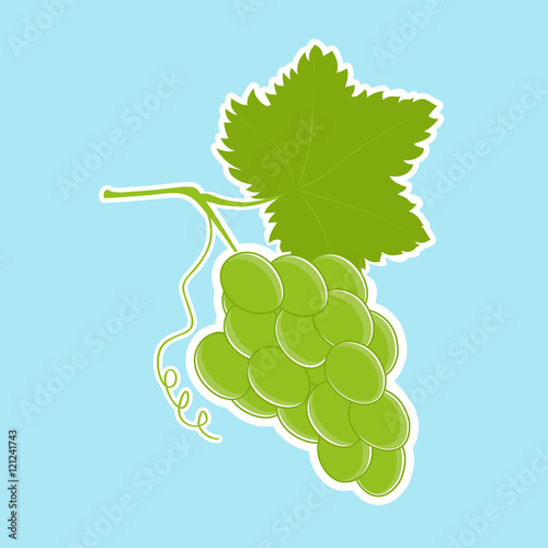 Grappe de raisin blanc