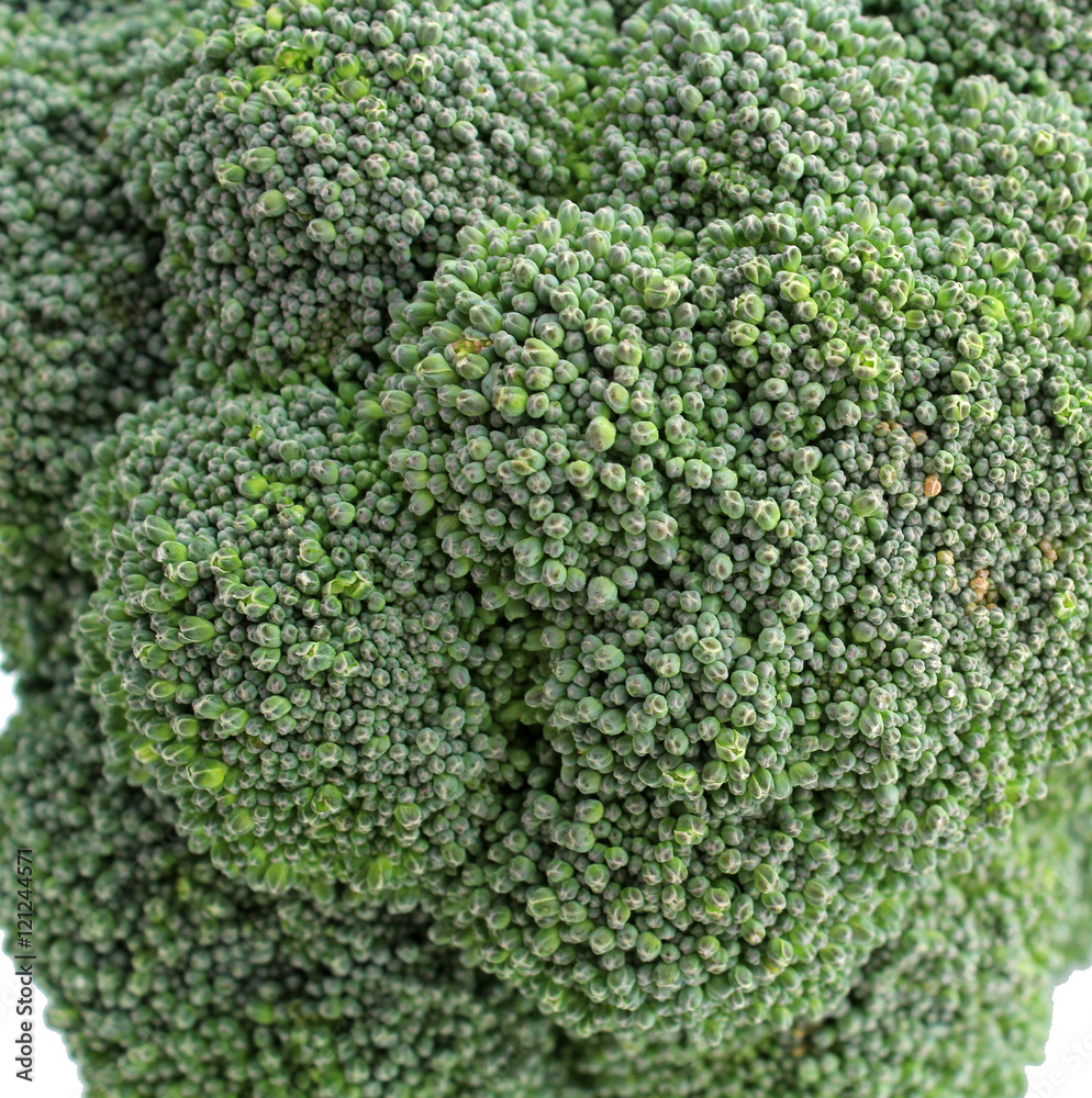 Macro du brocoli