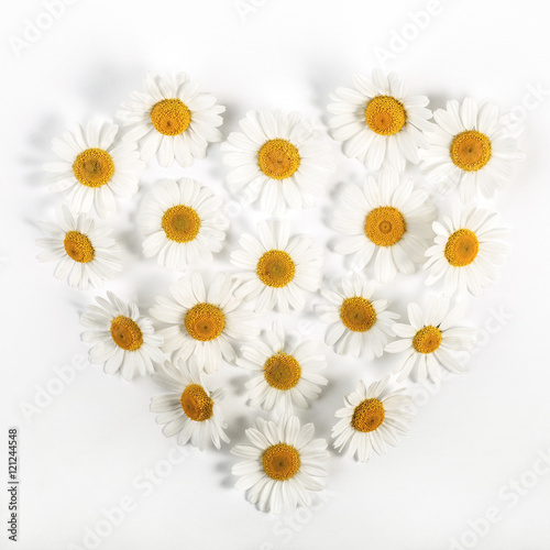 Valentine s Chamomile heart