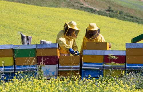 Beekeepers in uniforms working with Bees