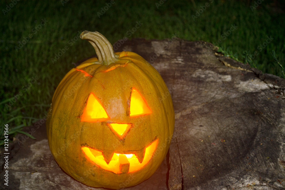 Halloween scary pumpkin with a smile in autumn forest Halloween scary pumpkin with a smile in autumn forest