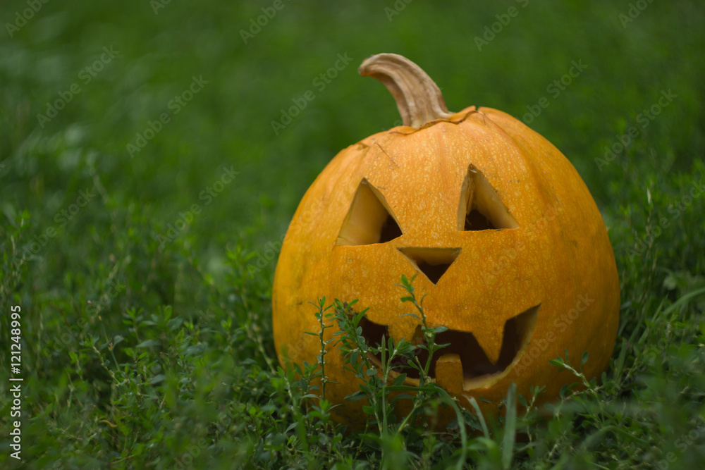 halloween pumpkin halloween pumpkin