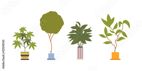 Set of four green floor plants in retro pots isolated against white background. Cartoon vector flat-style illustration