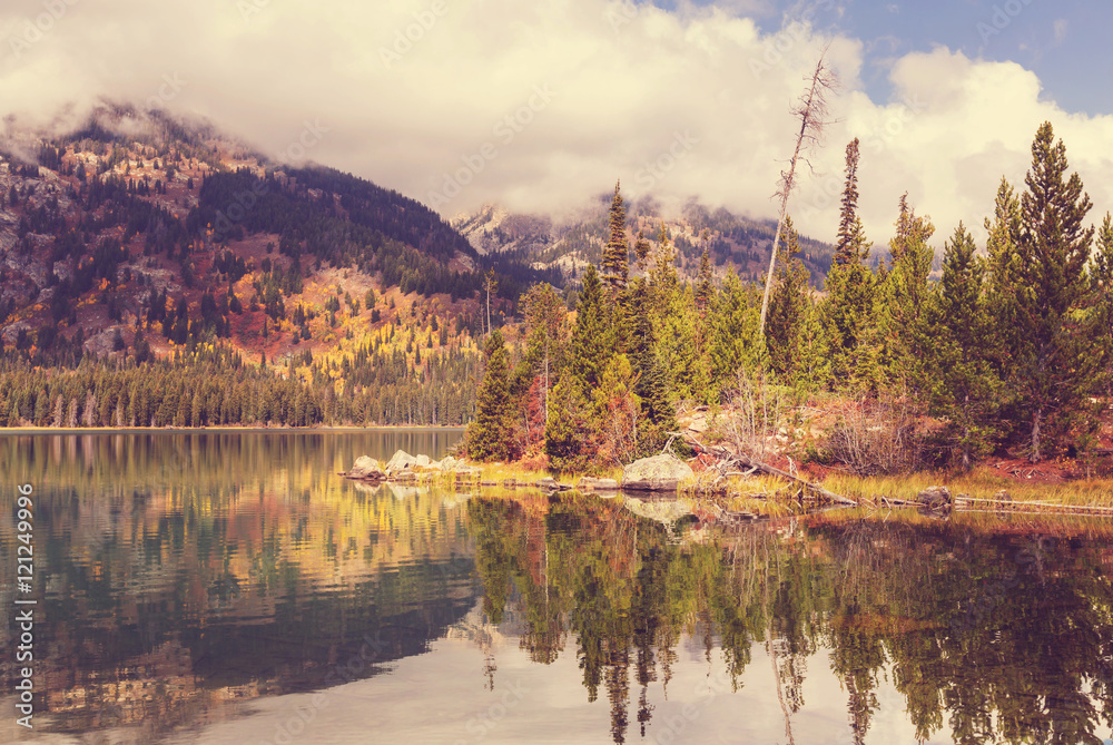 Fototapeta premium Autumn in Colorado