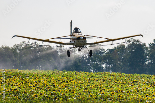 Картината върху платно Low Flying Aircraft Spraying a Field of Sunflowers