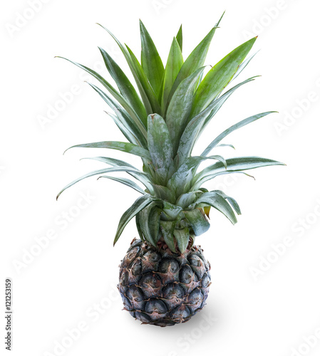 Pineapple isolated on while background.