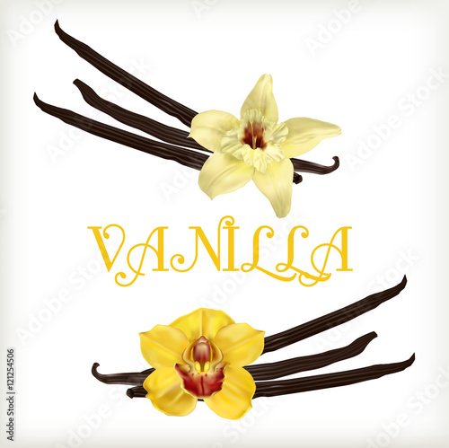 Vanilla flower and pods