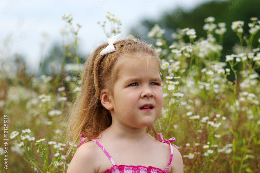 little girl on the meadow little girl on the meadow