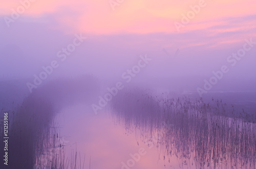 Very foggy pink sunrise in the wetlands of the Dutch countryside.
