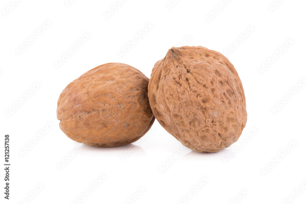 walnut isolated on the white background walnut isolated on the white background