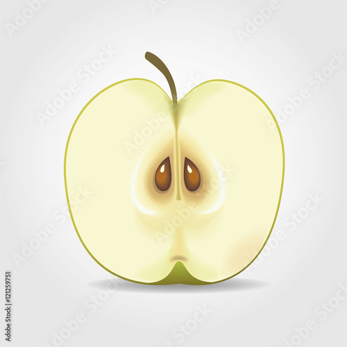 Realistic illustration of half of green apple with seeds