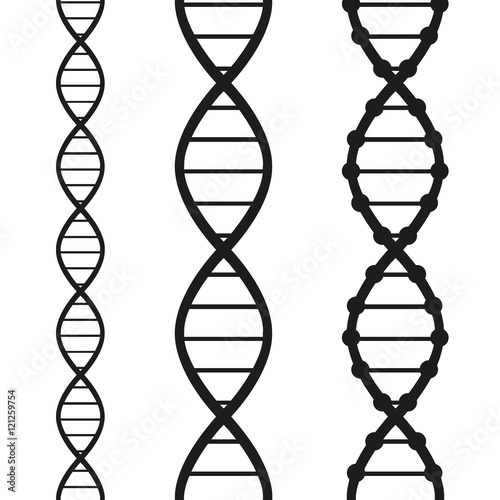 dna strand illustration