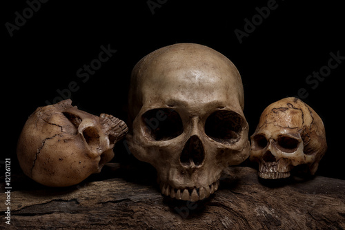 still life with three human skulls