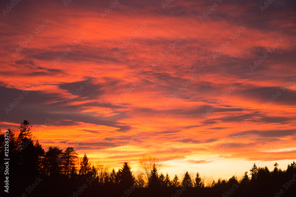 Fototapeta premium skies