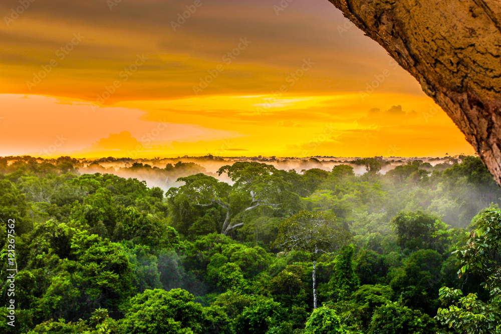Naklejka premium zachód słońca w brazylijskim lesie deszczowym Amazonas