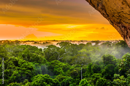 sunset in the brazilian rainforest of Amazonas photo