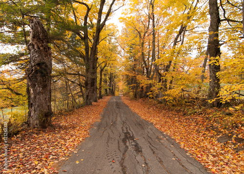 New Hampshire Fall Foliage © Robert