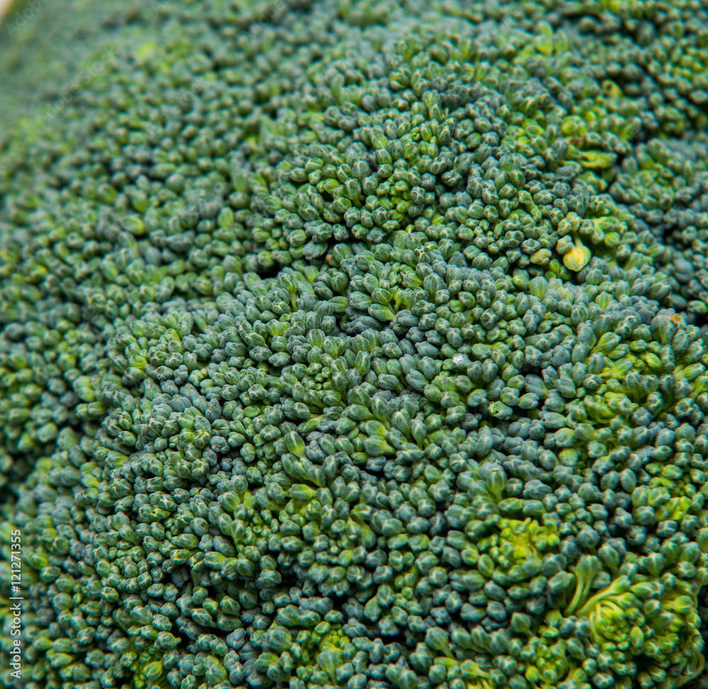 close up on Fresh broccoli solated background, selective focus close up on Fresh broccoli solated background, selective focus