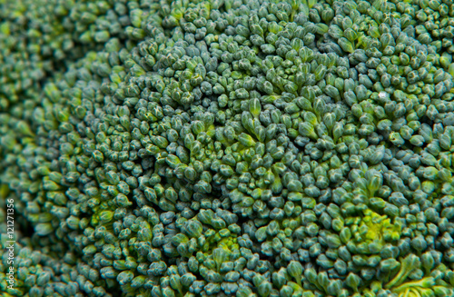 close up on Fresh broccoli solated background, selective focus