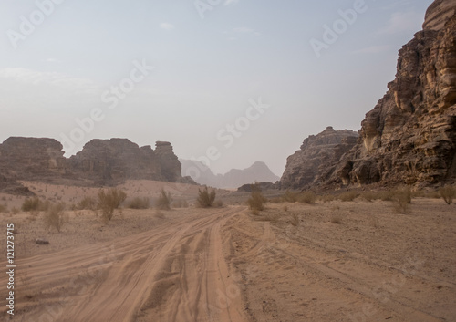 vehicle tracks in desert