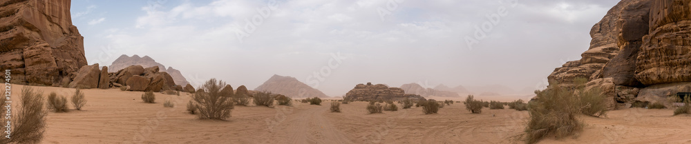 Fototapeta premium Desert Panoramas