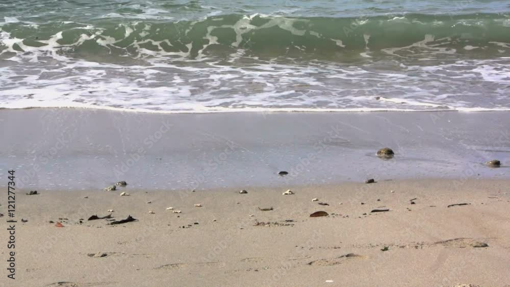 Small wave in slow motion Small wave in slow motion