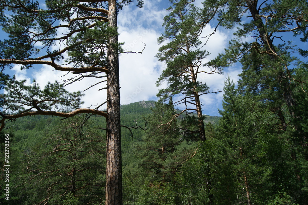 Fototapeta premium Travel through the beautiful corners of nature lake Baikal