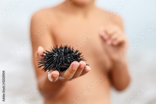 Boy holds sea urchin, Spain photo