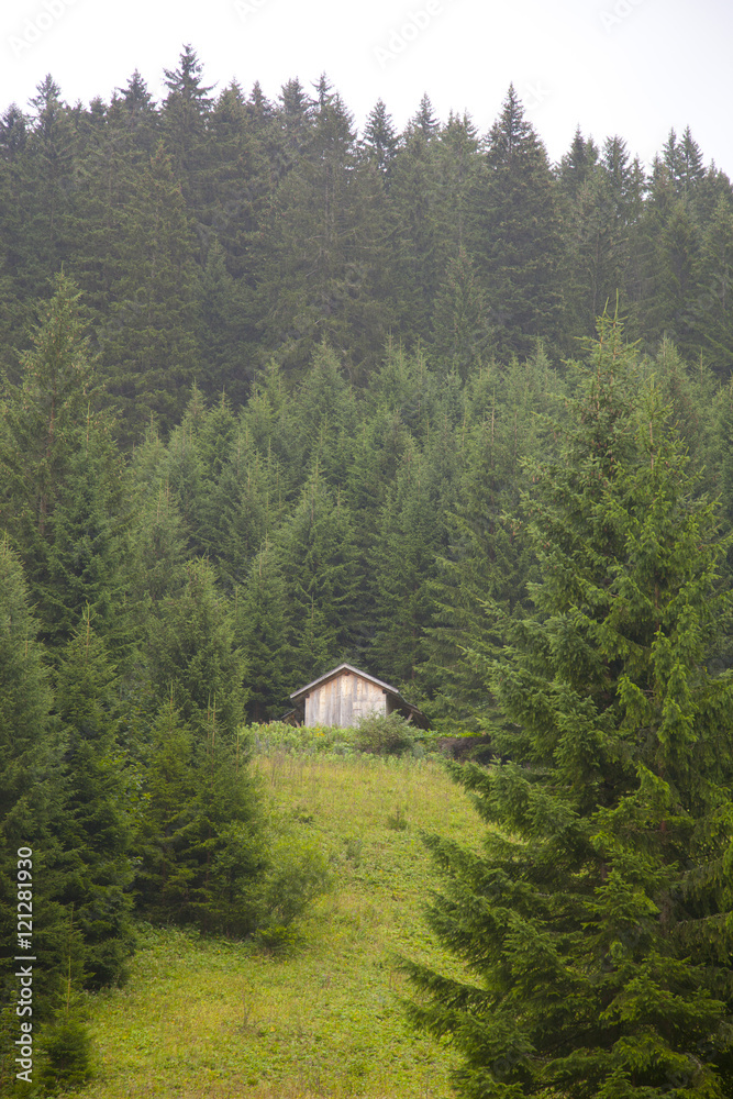 Wooden cabin with green mountain in Tirol, Austria