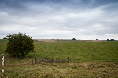 Avebury 9