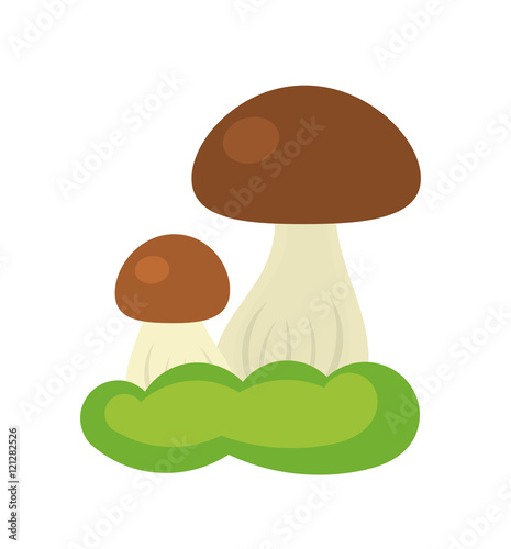 Forest mushroom