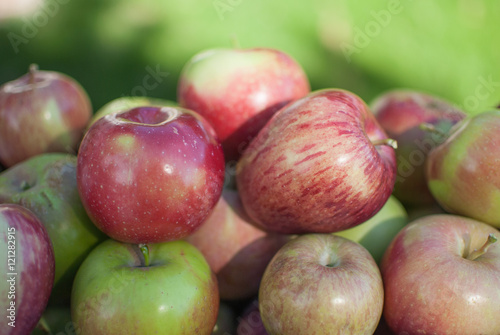 Close-up of apples with one leaning