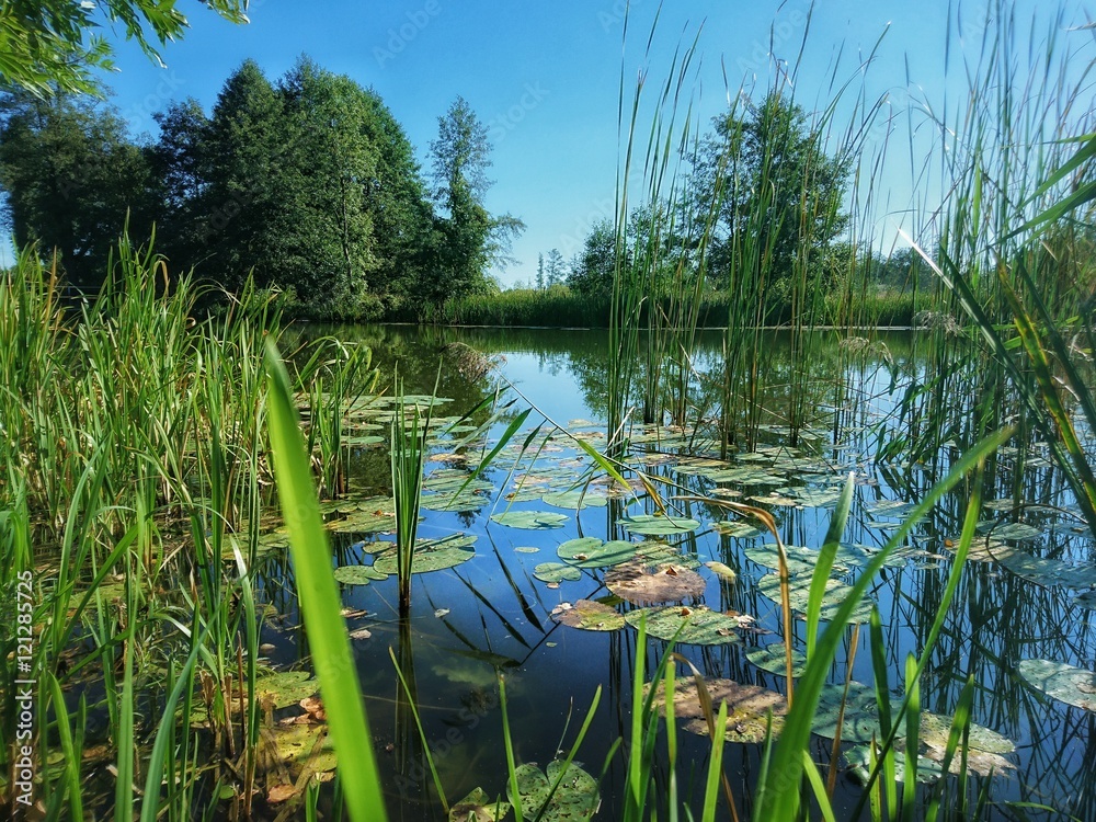 Rzeka