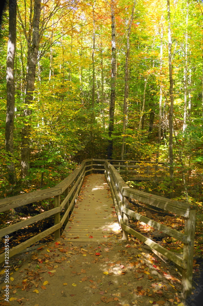 Obraz premium Fall in Vermont