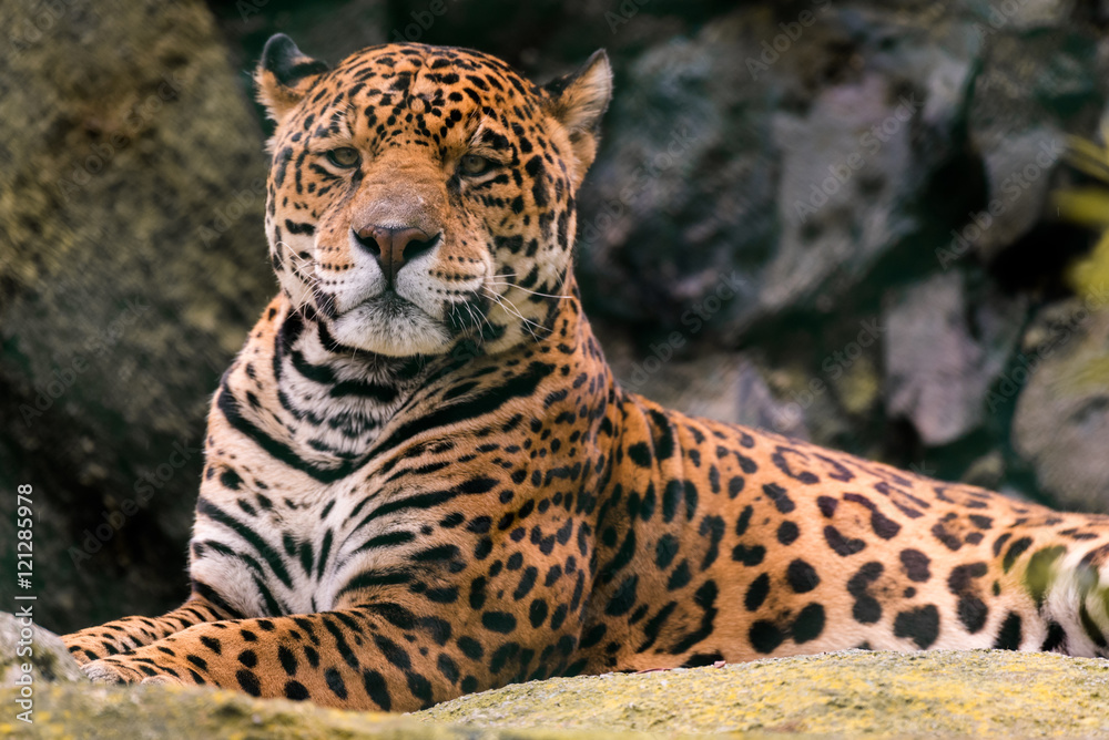 Obraz premium Juan José Martínez Palacio