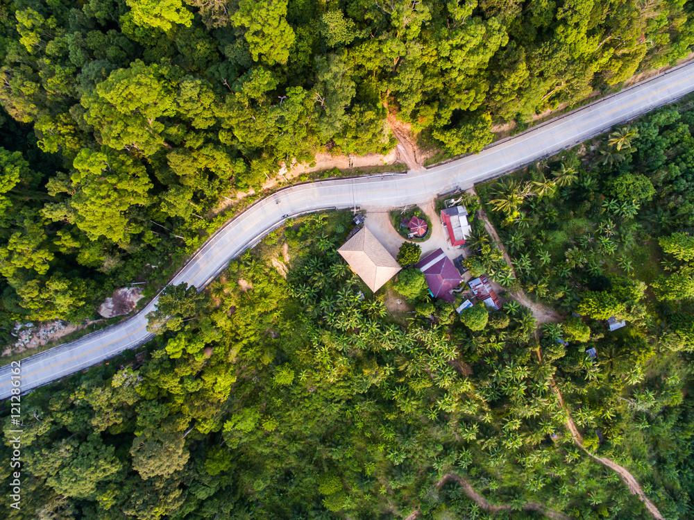 Aerial view of the road in the jungle