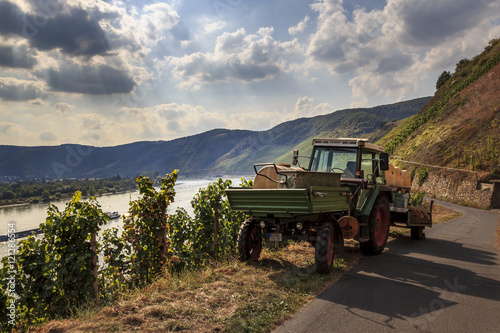 Tractor at vineyards on Bopparder Hamm  Germany