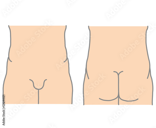Human bottom torso