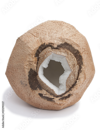 Open coconut in detail © Byron Ortiz