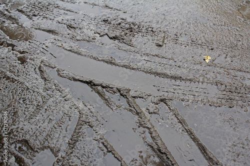 wet sand with bicycle tyre tracks photo