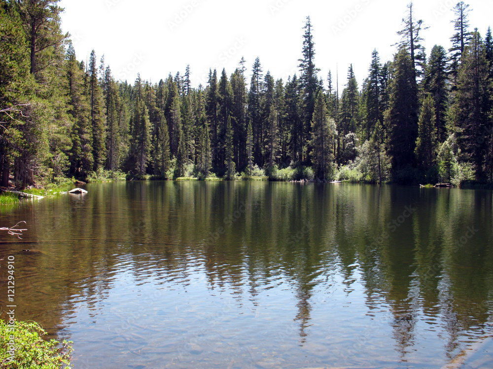 Mountain Lake/Tree reflection on calm mountain pond