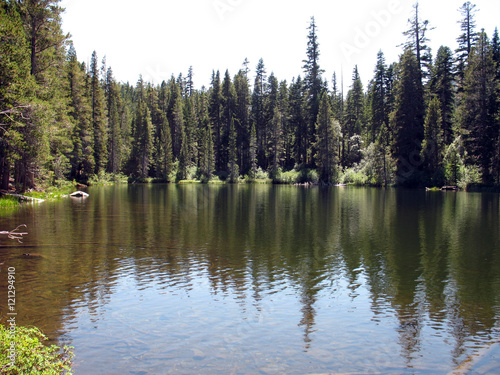 Mountain Lake/Tree reflection on calm mountain pond