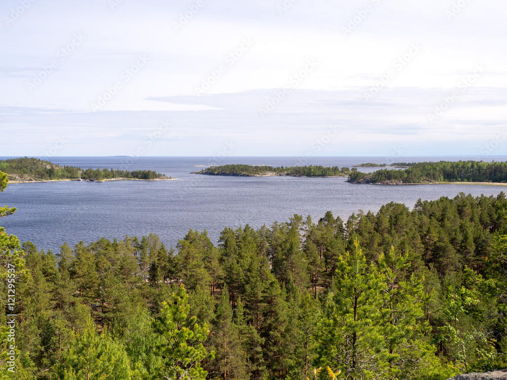 Lake Ladoga and forests
