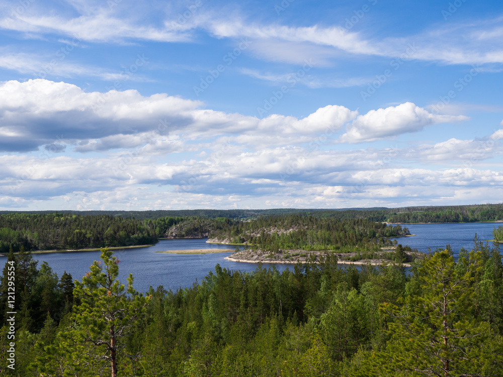 Forests near lake Ladoga