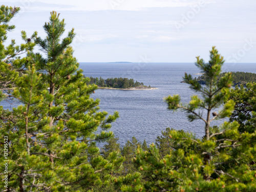 Lake Ladoga from a hill