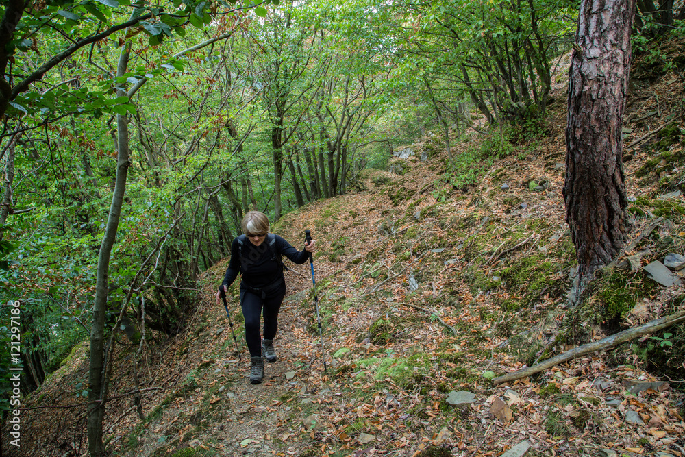 Seniorin wandern im Wald, Denntal Eifel