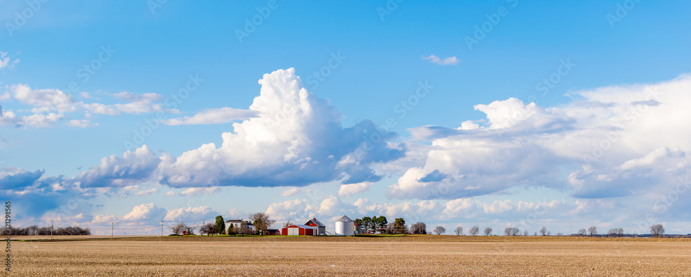 Fototapeta premium Farmland