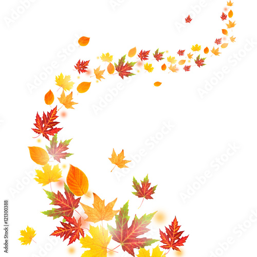 Autumn falling leaves isolated on white